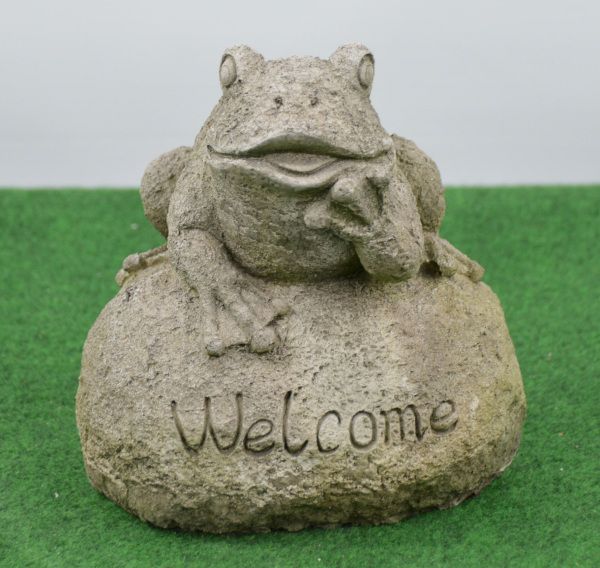 Welcome Frog